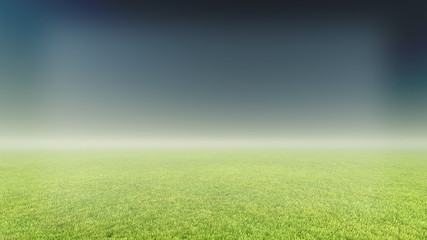 Fototapeta na wymiar grass and fog background