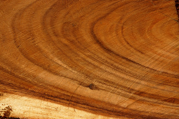 Surface of the tree are used in industrial applications.