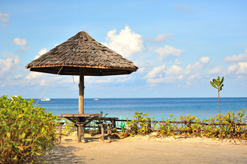 Hall sitting on the beach