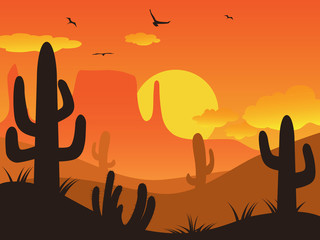 sunset cactus desert