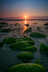 Green stones beach V