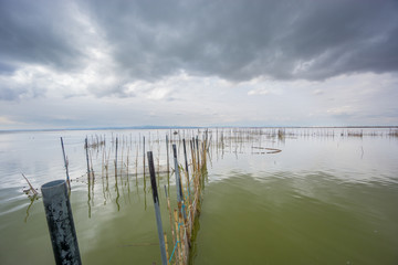 Obraz premium Stormy clouds over the natural park of the Albufera, Valencia
