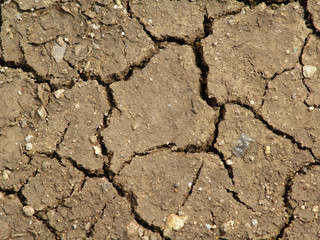 Dry earth