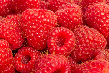 Raspberry background