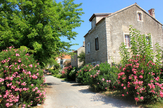 Stone houses