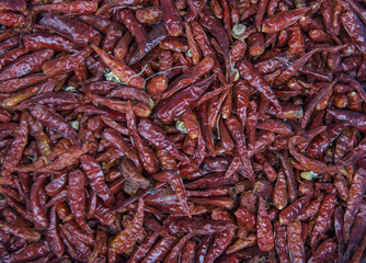 Red hot chilly peper