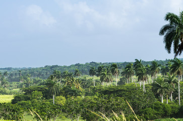 Fototapeta na wymiar Kuba Innenland Landschaftsansichten in den Provinzen