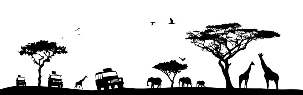 Savanne Safari