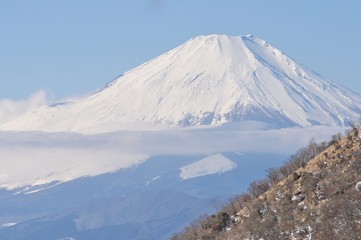 Fototapeta na wymiar 冬の丹沢より富士山 