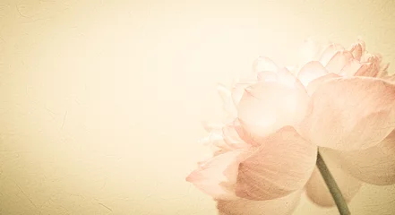 Photo sur Plexiglas fleur de lotus pétales de fleurs de couleur douce dans une couleur douce et un style flou sur la texture du papier de mûrier