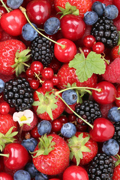 Beeren Früchte Hintergrund mit Erdbeeren, Blaubeeren und Kirsch