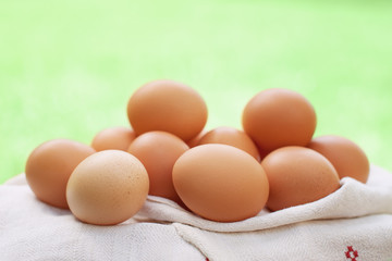 Fresh chicken eggs