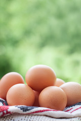 Free range chicken eggs