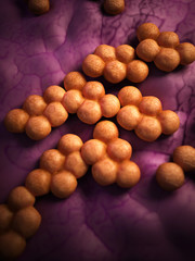 medical bacteria illustration of the mrsa