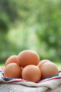 Brown chicken eggs on green background