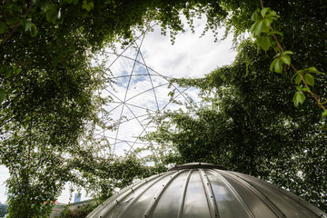 Cupola di rampicanti