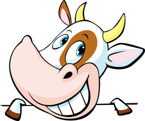 funny cow peeks out from behind a white surface - vector cartoon illustration