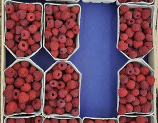 Himbeeren