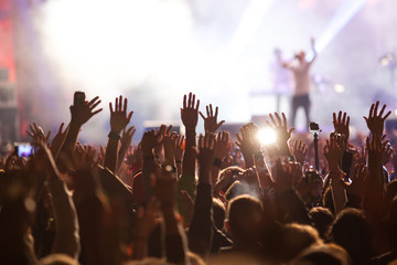 Crowd at concert