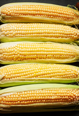 Ripe yellow corn, top view, food background, selective focus