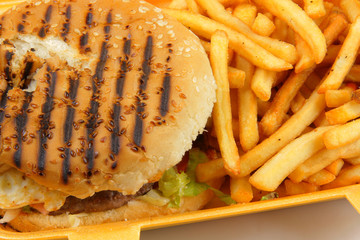 burger et frites 14072015