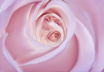 Fototapeta na wymiar light pink rose flower closeup illustration