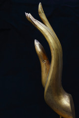 Hand of Buddha
