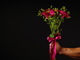 Hand holding flowers of pink gerbera on dark background, left you can write some text
