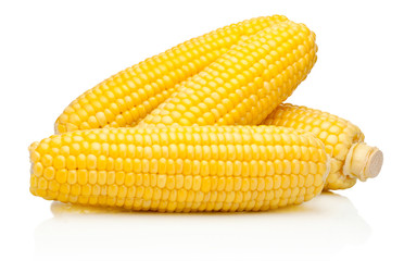 Corn on the cob kernels peeled isolated on white background