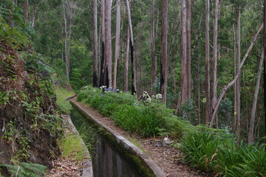 Levada Nova auf Madeira