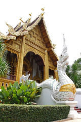 Fototapeta premium Thai temple 