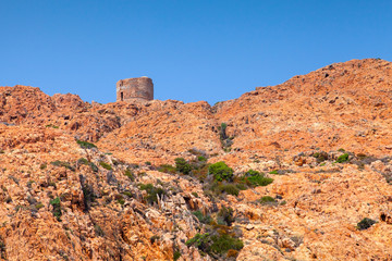 Fototapeta na wymiar Old Genoese tower on Capo Rosso, Corsica