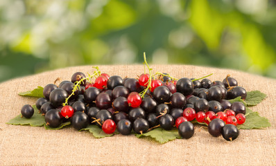 red and black currant on linen tablecloth on a background of foliage