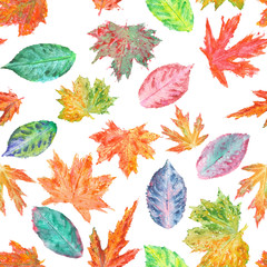 Obraz premium Seamless pattern with bright autumn leaves painted in watercolor on a white background