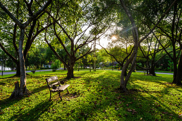 Chair in the park during sunset