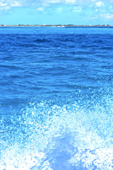 ground wave  in  froath and    foam  the  drop sunny day