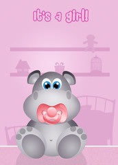 baby hippo