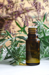 Essential wormwood oil