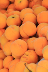 fresh apricots background
