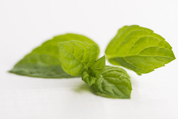 Fresh raw mint leaves isolated on white background