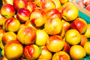 Juicy nectarines at local fruit market