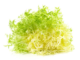 Frisee - Salat