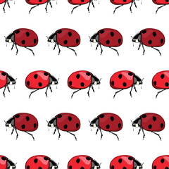 Vector Red Black Ladybird Stripes Seamless Pattern