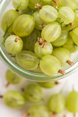 green gooseberries