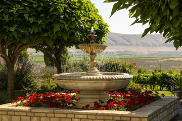 A large garden fountain with territorial view