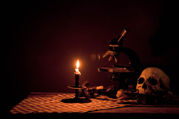 Still life art photography with skull