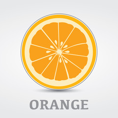 Orange Slice Vector Logo Design