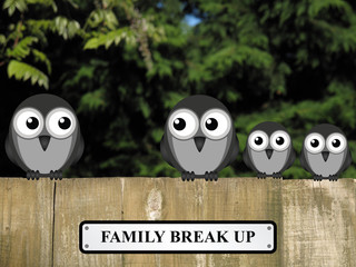 Representation of family break up 