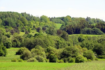 Fototapeta na wymiar Landscape near Kurkliai town in the Anyksciai district