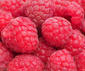 Himbeeren